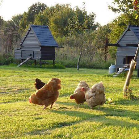 The Oaks Glamping - Magpie Half Shepherds Hut Hotell Colkirk Exteriör bild