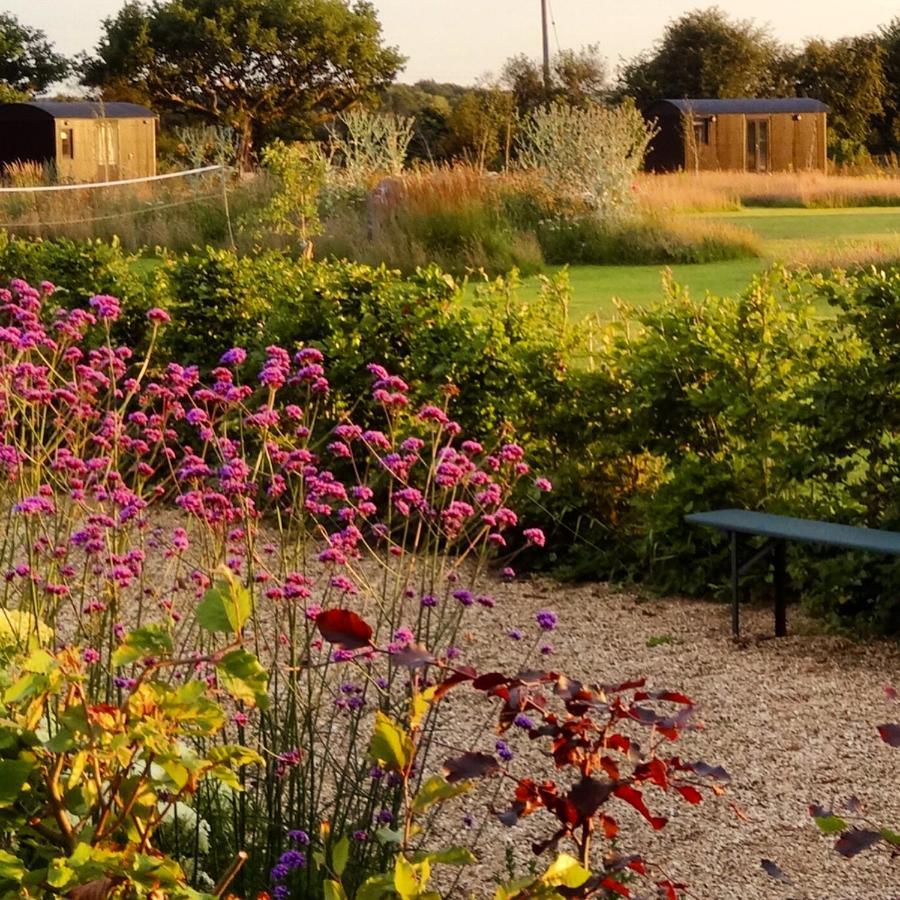 The Oaks Glamping - Magpie Half Shepherds Hut Hotell Colkirk Exteriör bild