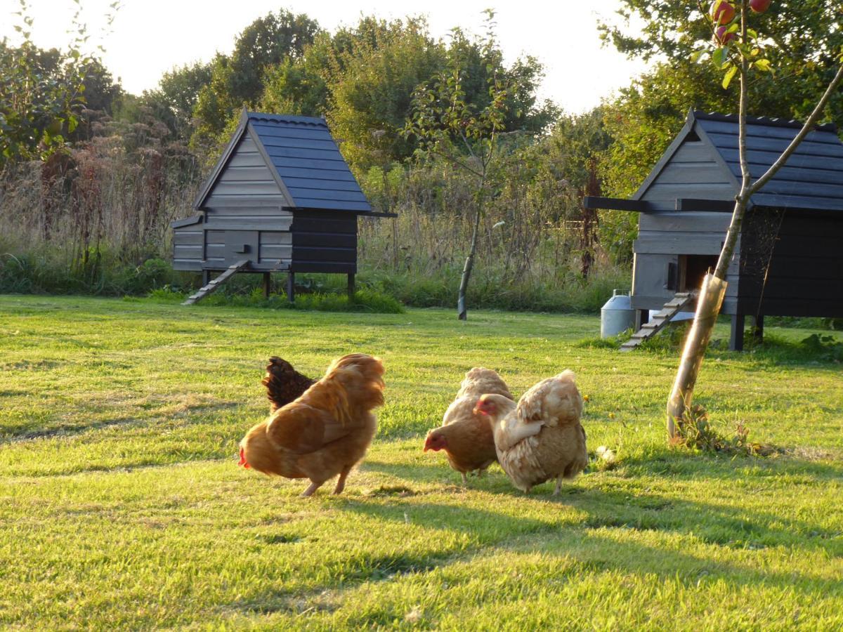 The Oaks Glamping - Magpie Half Shepherds Hut Hotell Colkirk Exteriör bild